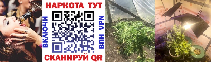 Купить закладку A-PVP  Галлюциногенные грибы  Гашиш  Мефедрон  Азов