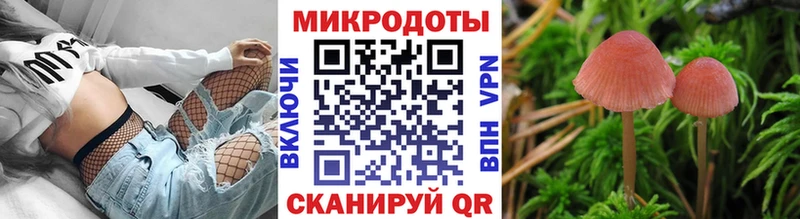 Купить  Азов  Псилоцибиновые грибы Psilocybine cubensis 